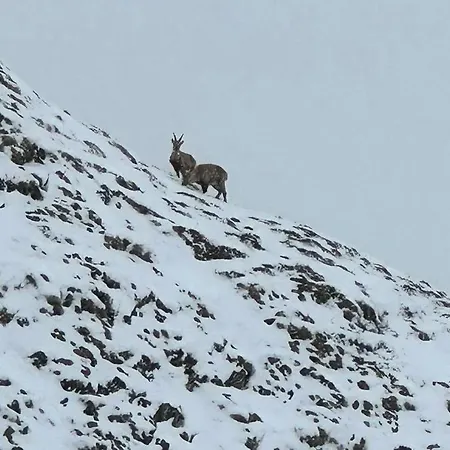 Trais Fluors Samnaun-compatsch * זאמנאון